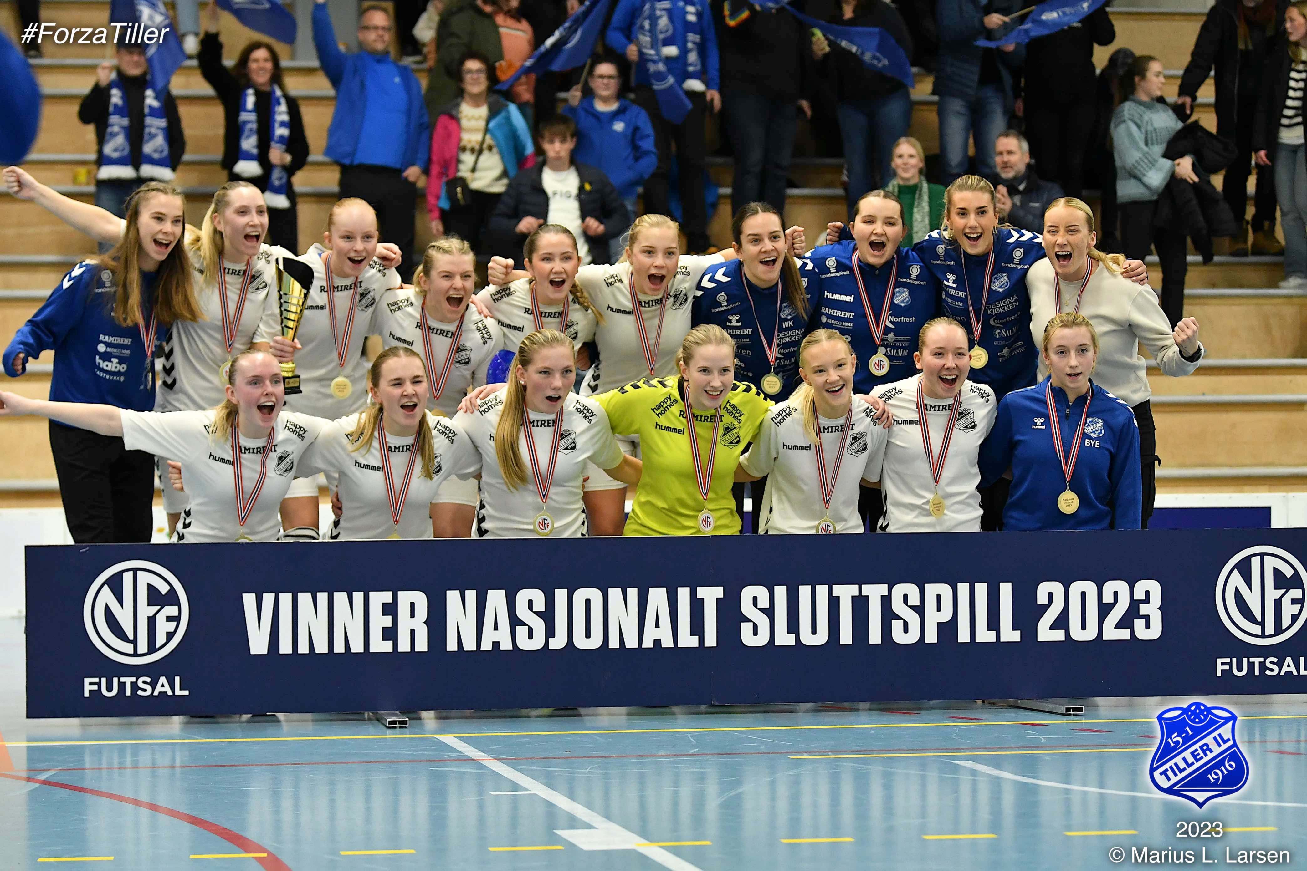 Image for Norges beste futsallag